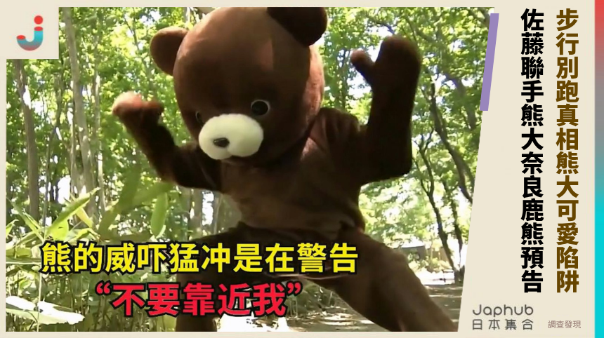 步行別跑真相熊大可愛陷阱! 佐藤聯手熊大奈良鹿熊預告!