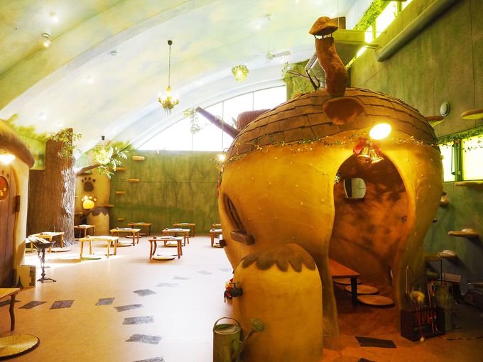 不思議的貓貓森林cafe 日本嘻哈狗hehehahagogo Com