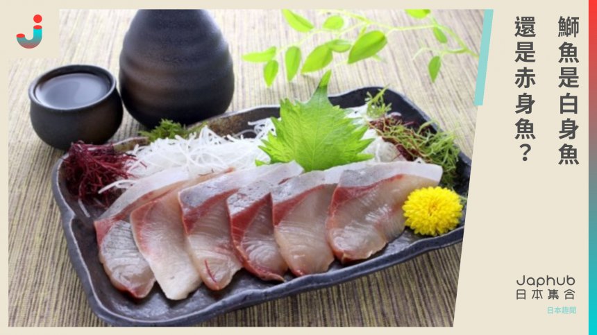 鰤魚是赤身魚還是白身魚 Japhub 日本集合