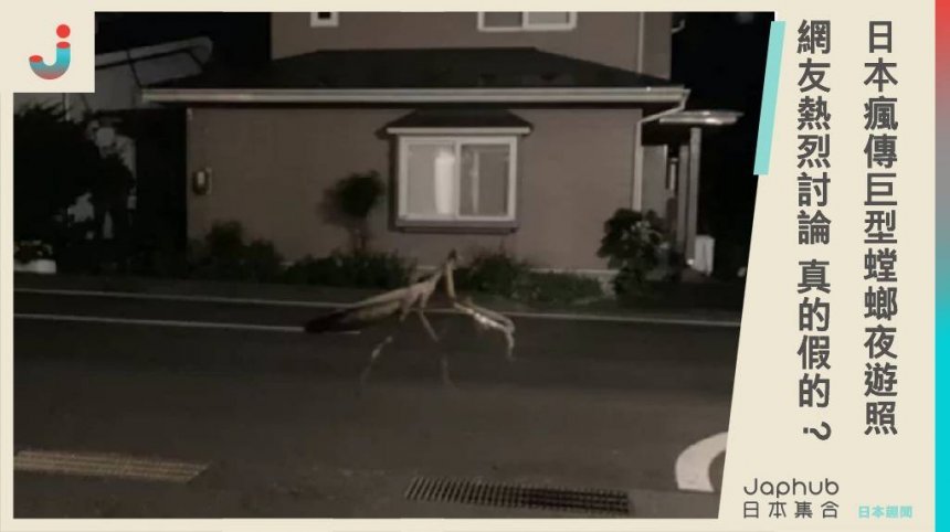 【屎話】日本瘋傳巨型螳螂夜遊照 網友熱烈討論 真的假的？