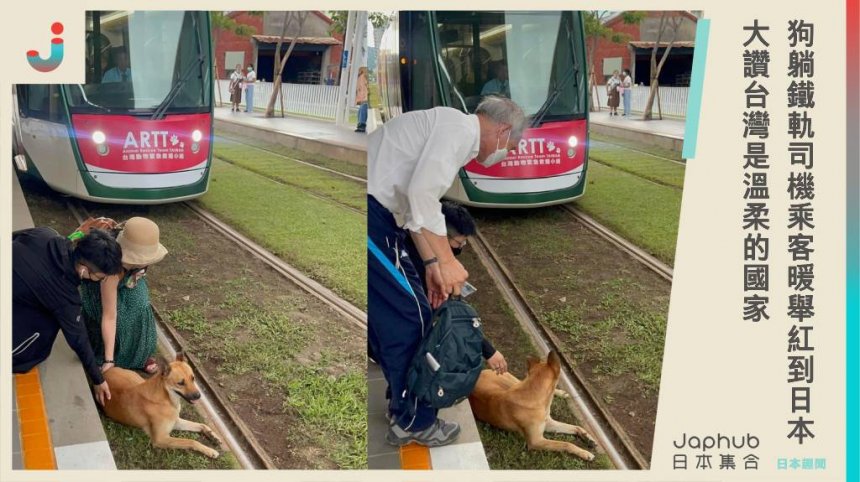 狗狗躺鐵軌影片在網上瘋傳，司機、乘客暖舉紅到日本！大讚台灣是溫柔的國家。