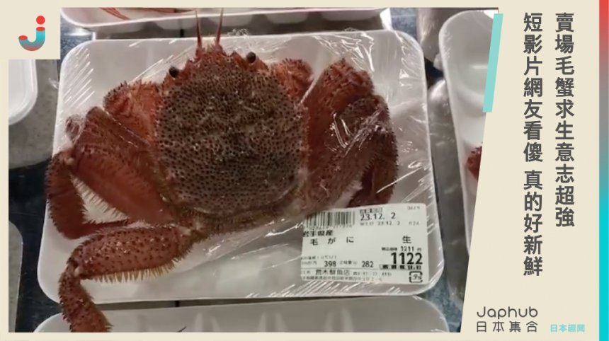 日本賣場「毛蟹」求生意志超強！逃出保險膜張開8隻腳，網友分享22秒影片眾人看傻：瘋掉真的好新鮮！