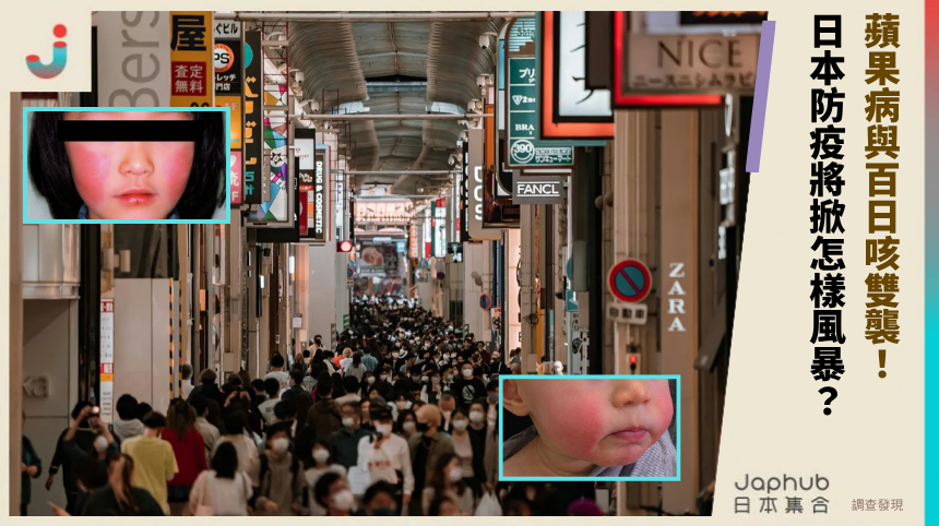 蘋果病與百日咳雙襲！ 日本防疫將掀怎樣風暴？