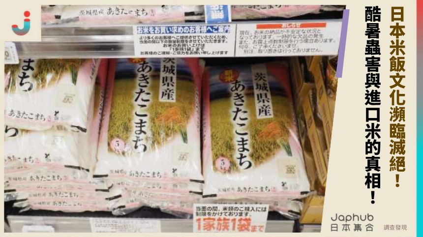 日本米飯文化瀕臨滅絕！酷暑蟲害與進口米的禁斷真相起底！