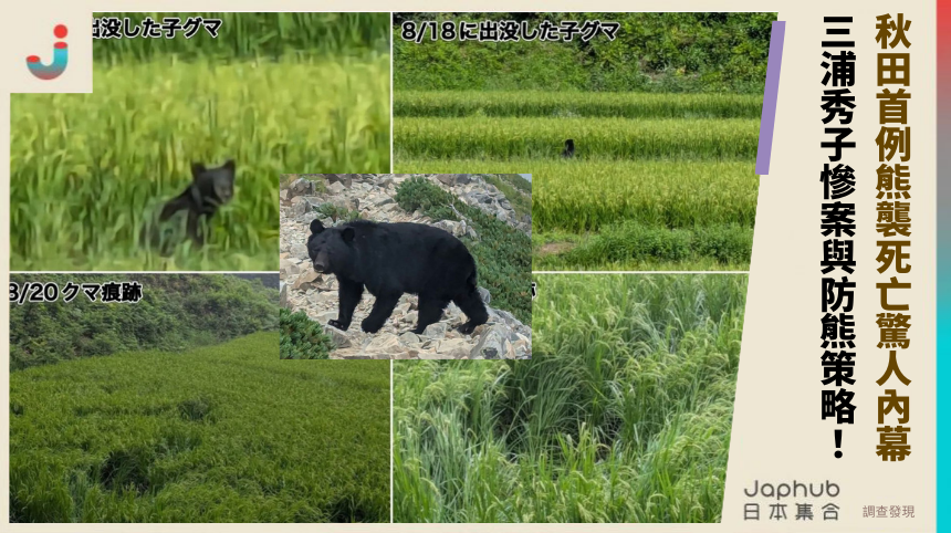 秋田首例熊襲死亡的驚人內幕！三浦秀子慘案與防熊策略全揭秘！