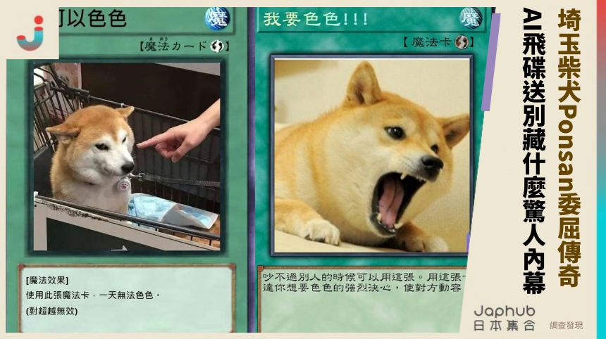 埼玉柴犬Ponsan的委屈傳奇：AI飛碟送別藏什麼驚人內幕？