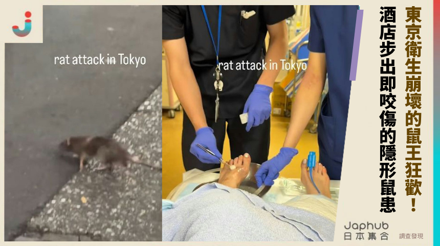 東京衛生崩壞的鼠王狂歡！酒店步出即咬傷的隱形鼠患！