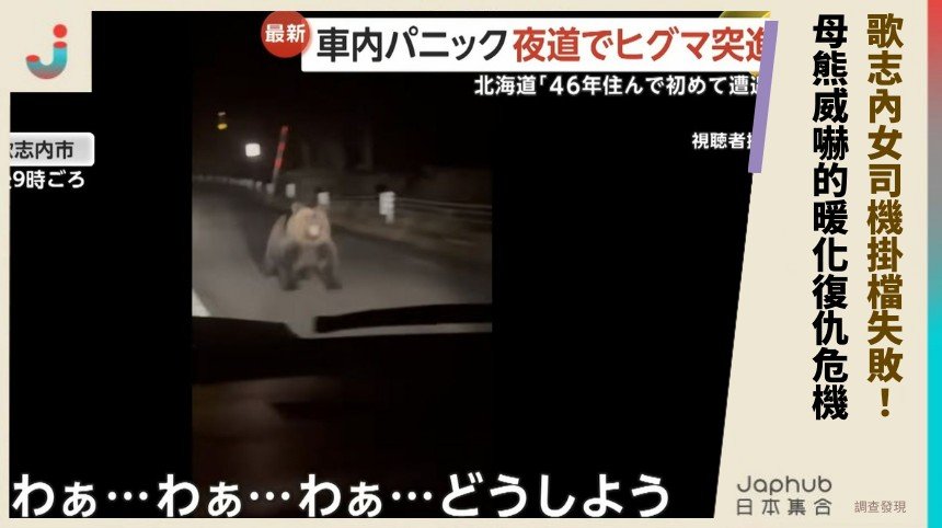 歌志內女司機掛檔失敗！ 母熊威嚇的暖化復仇危機?