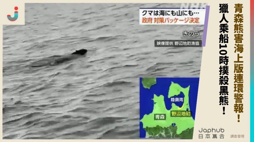 青森熊害海上版連環警報！ 獵人乘船10時撲殺黑熊！