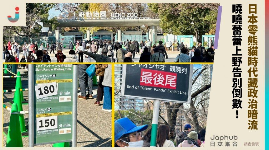 日本零熊貓時代藏政治暗流！ 曉曉蕾蕾上野告別倒數！
