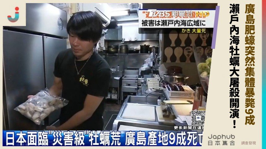 廣島肥蠔突然集體暴斃9成！ 瀨戶內海牡蠣大屠殺開演！