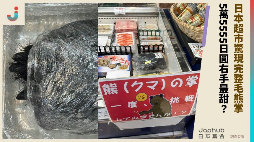 日本超市驚現完整毛熊掌！ 5萬5555日圓右手最甜？