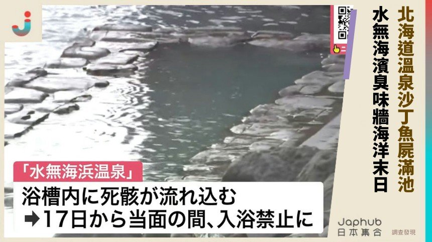 北海道溫泉沙丁魚屍滿池！ 水無海濱臭味牆海洋末日！