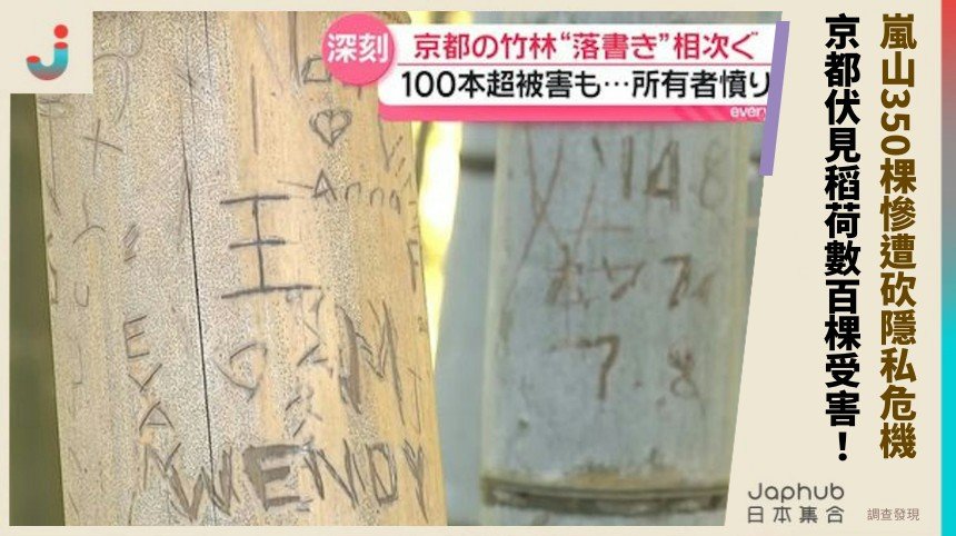 嵐山350棵慘遭砍隱私危機！ 京都伏見稻荷數百棵受害！