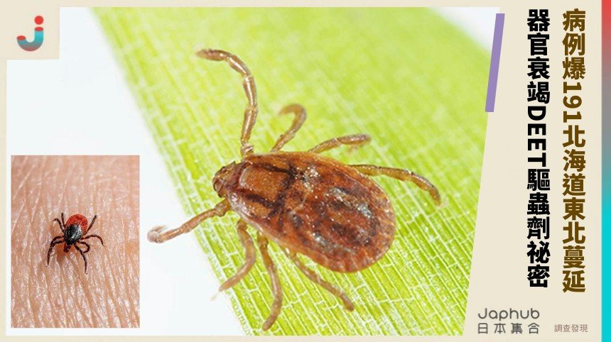 病例爆191北海道東北蔓延！ 器官衰竭DEET驅蟲劑祕密？