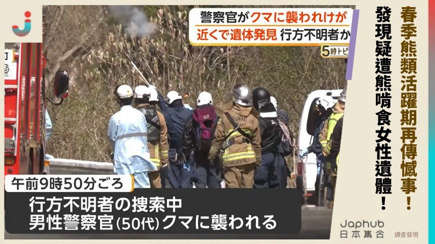 春季熊類活躍期再傳憾事！ 發現疑遭熊啃食女性遺體！